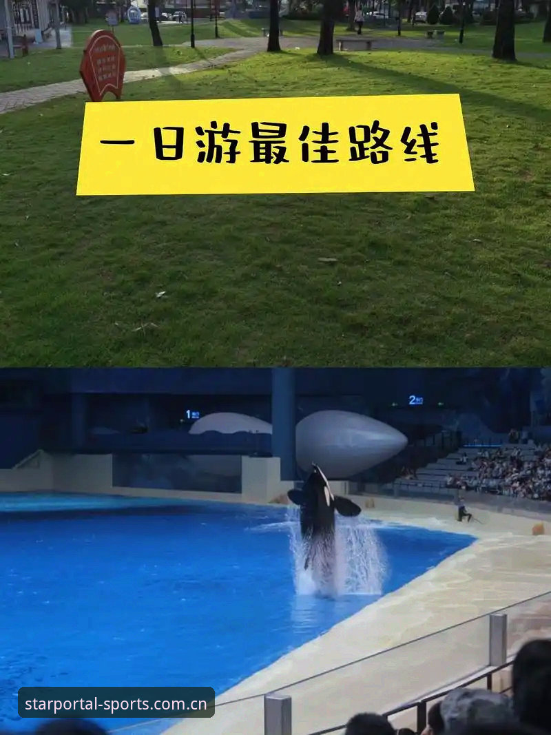 3分钟掌握星空体育注册教程：5个关键步骤让你快速上手